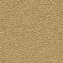 Leder Beige