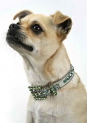 Hundehalsband PERIDOTAB von B.B.Simon